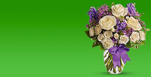 Fiori stabilizzati » Acquista online fiori a Viareggio, consegna fiori a  Viareggio, invio fiori, bouquet, mazzi di fiori e mazzi di rose con  consegna a domicilio a Viareggio.