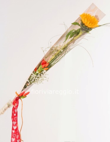 Girasole confezionato
