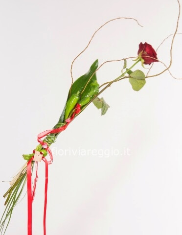 Rosa rossa con peperoncini verdi