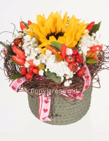 Girasole in vasetto con bacche e peperoncini