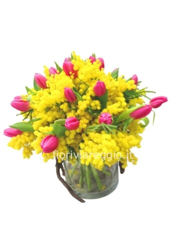Bouquet con mimosa e tulipani, piccolo (7 tulipani)