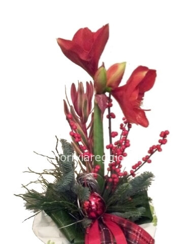 Mazzo di fiori natalizio con amaryllis o altri fiori lunghi, bacche e abete