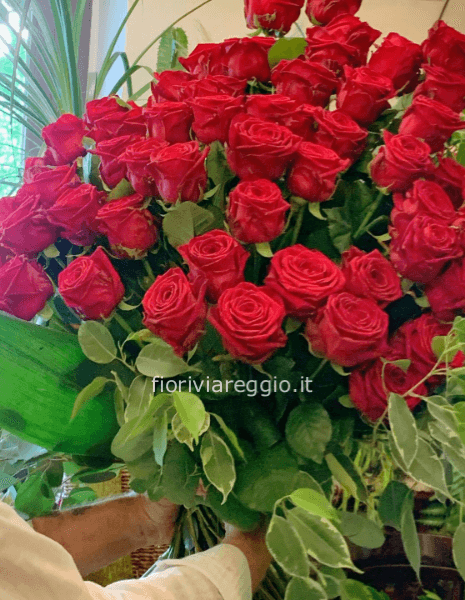 Rose rosse a stelo