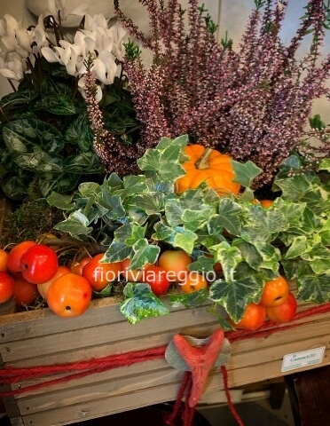 Composizione di piante autunnale in cesta, con frutta