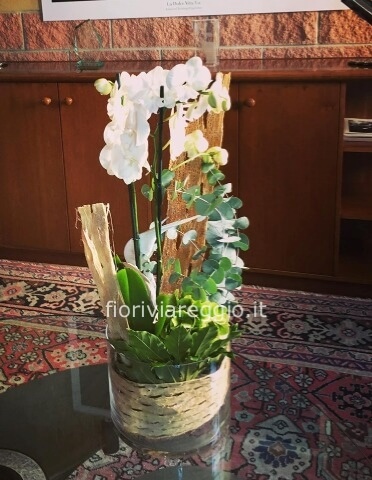 Composizione con orchidea e altre piante in vaso di vetro